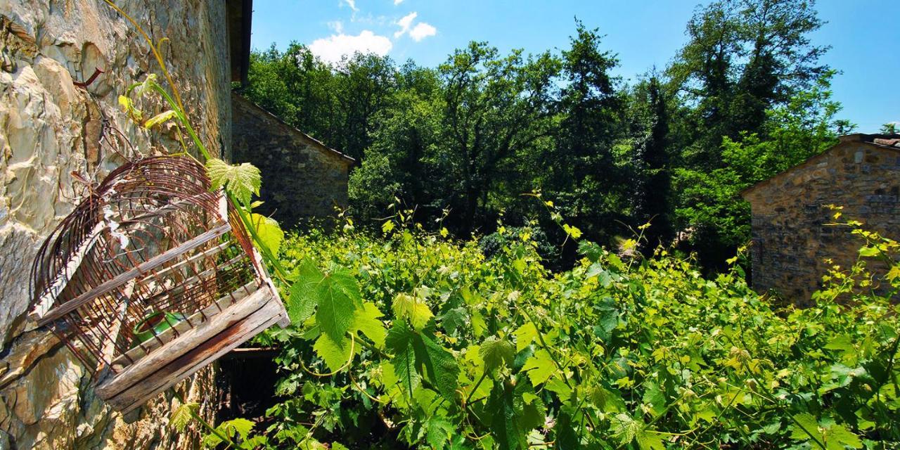Vila Molino Di Bombi Castellina in Chianti Exteriér fotografie