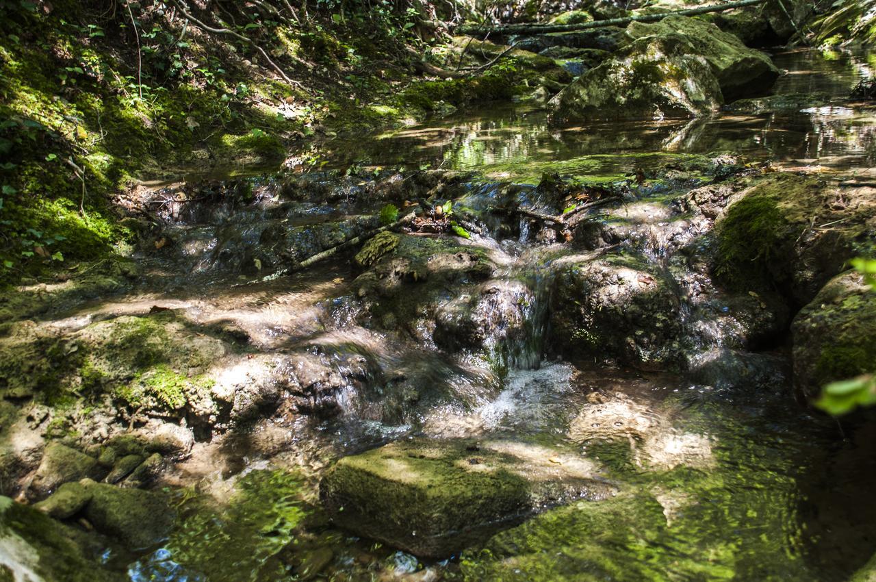 Vila Molino Di Bombi Castellina in Chianti Exteriér fotografie